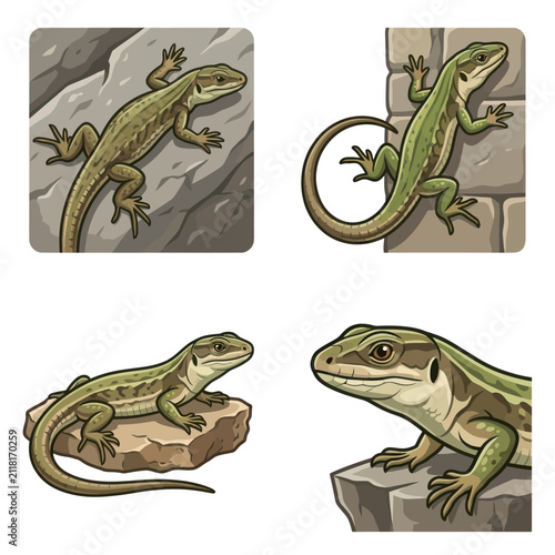 Green lizard on rock formations outdoor.