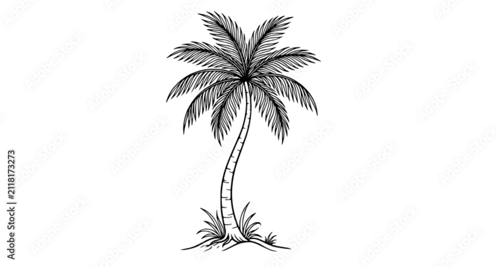 Obraz premium Palm Silhouette Line Art Vector Illustration