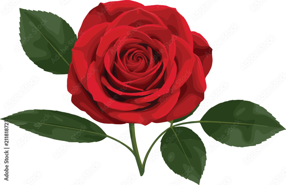 Naklejka premium Beautiful Red Rose Flower Blossom with Green Leaves and Stem Vector Illustration for Romantic Wedding Invitations, Valentines Day Cards, and Luxury Botanical Branding