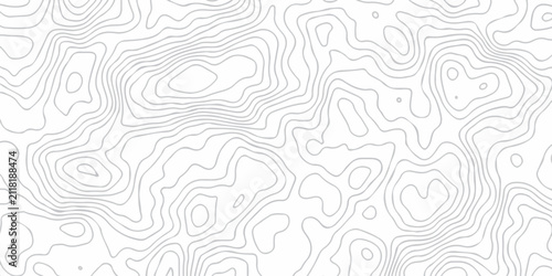Abstract  monochrome topography white contour lines background. white and black relief line wireframe isoline location diagram world map texture design.	