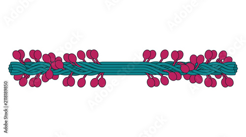 Canvastavla Actin Myosin Muscle Fiber Scientific Illustration