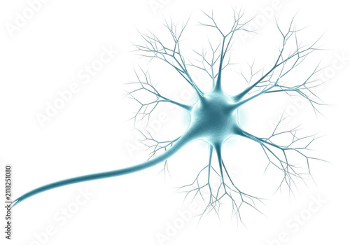Blue nerve cell neuron illustration isolated on a transparent background