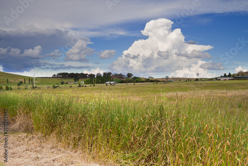 A distant thunderhead over long grass on rural farmland