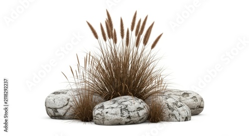 Decorative ornamental grass with brown plumes growing between textured white garden stones isolated on white background