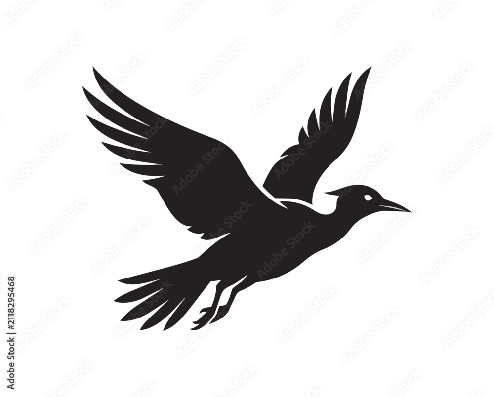 Fototapeta premium Silhouette of a Bird in Flight.
