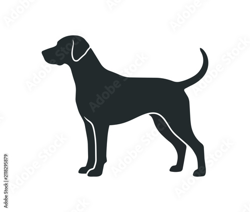 Konstfotografi Silhouette of a Pointer Dog Standing Proudly.