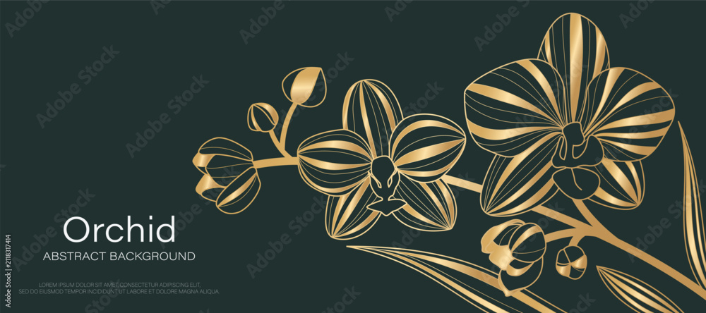 Obraz premium Luxury golden Orchid flower line art background vector. Natural botanical elegant flower with gold line art. Design illustration for decoration, wall decor, wallpaper, cover, banner, poster, card.