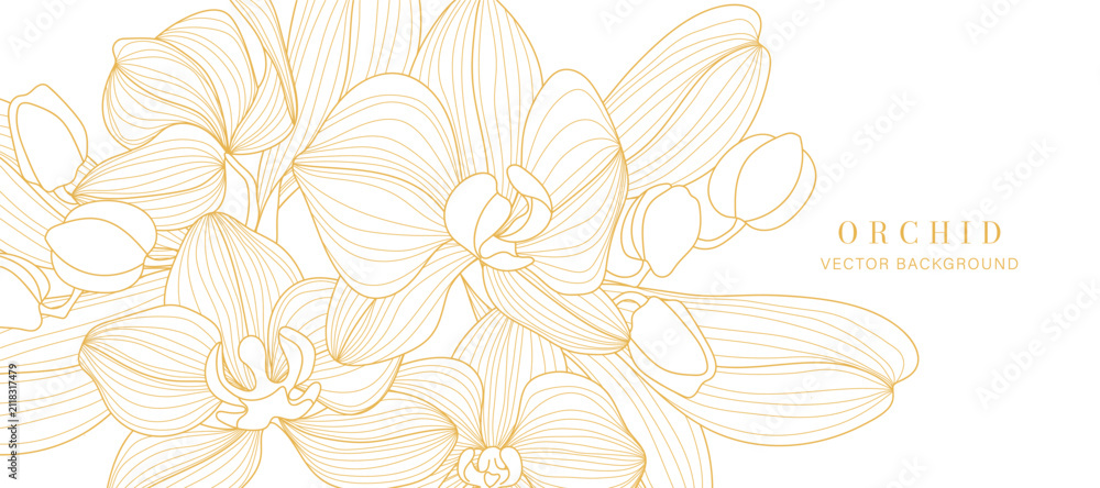 Obraz premium Luxury golden Orchid flower line art background vector. Natural botanical elegant flower with gold line art. Design illustration for decoration, wall decor, wallpaper, cover, banner, poster, card.