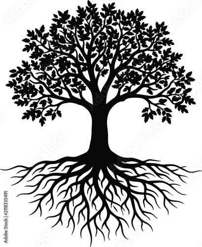 Black silhouette of a large tree with visible roots isolated on a white background