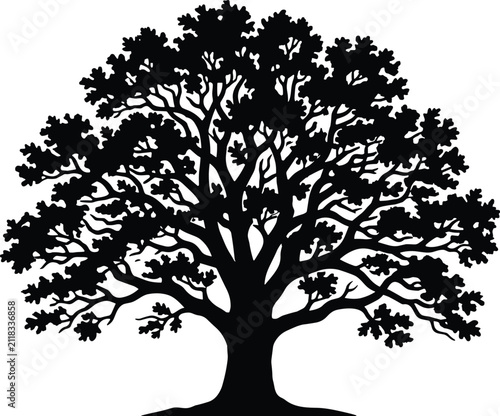 Detailed black silhouette of a large deciduous oak tree isolated on a white background