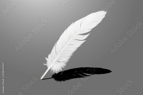 Abstract shadows of white feathers. white bird feathers in the dark. fluffy downy. feathers on gray. symbol of freedom and peace. softness of feathers falling in heavenly.