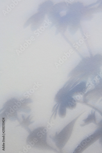soft colors paper background with flowers shadows, natural sunlight