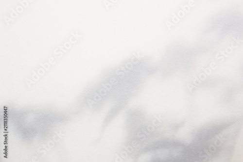 soft colors paper background with flowers shadows, natural sunlight