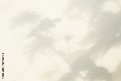 soft colors paper background with flowers shadows, natural sunlight