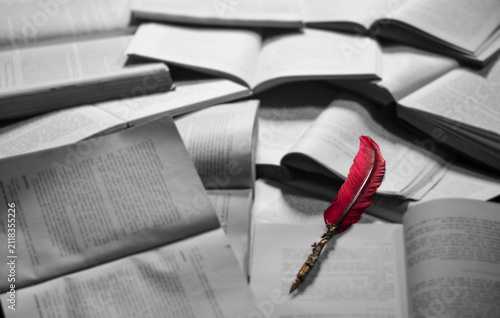Принти на полотні A red pen forgotten above the immortal verses of open books on the table