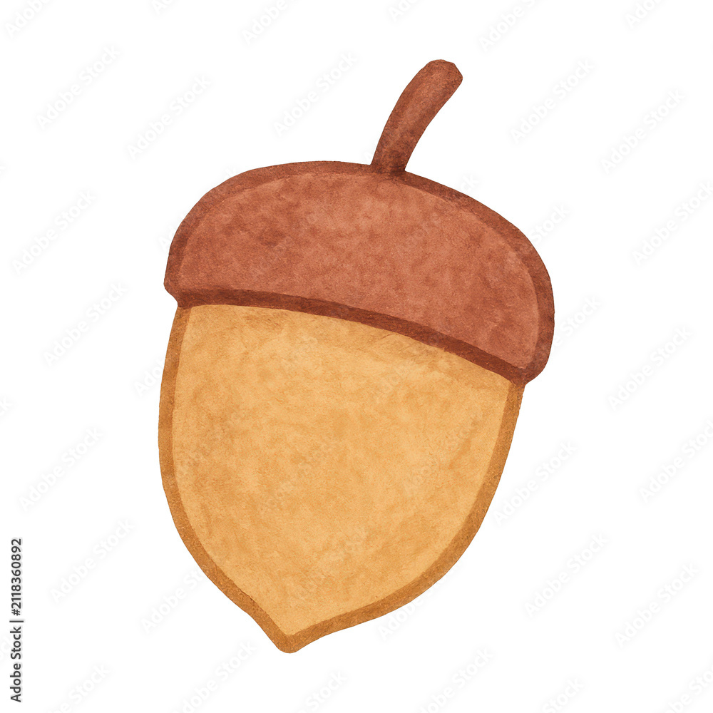 Obraz premium PNG Whimsical acorn illustration art.