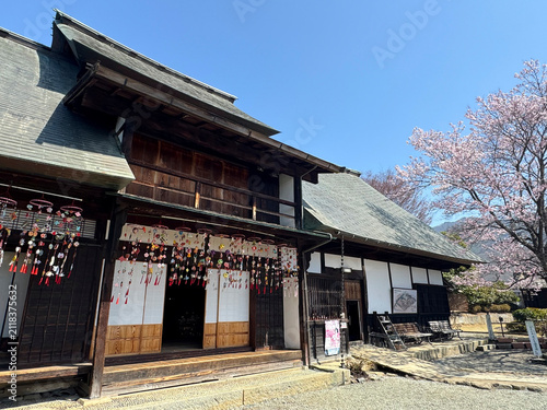 桜満開の甘草屋敷