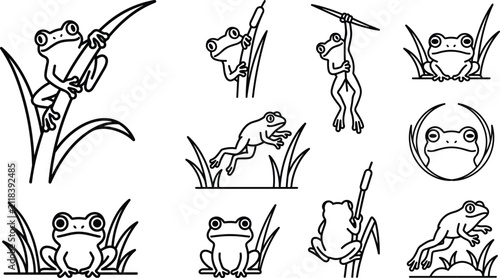 Cuadro en lienzo Cute Frog Line Art Vector Icon Set Featuring Amphibians Jumping, Climbing Grass,