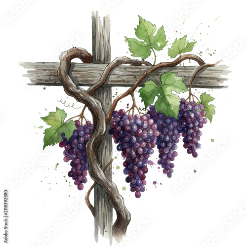 Mature vitis vinifera grapevine with lush burgundy pinot noir grapes, emerald foliage, and rustic wooden trellis on a transparent background, expressive watercolor, winemaking concept