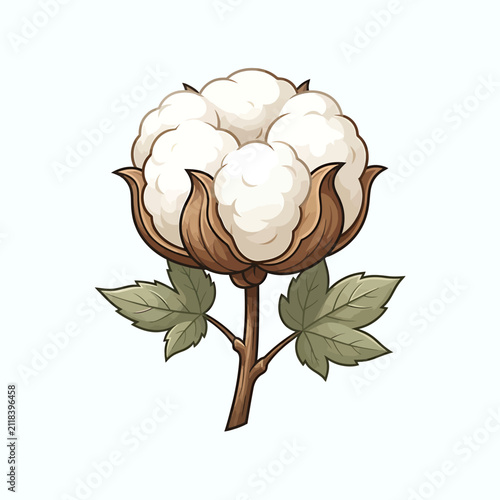 Single cotton boll with green leaves. Organic soft fiber plant isolated on white background.