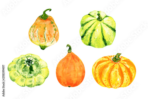 Watercolor hand drawn pumpkin set isolated on white

