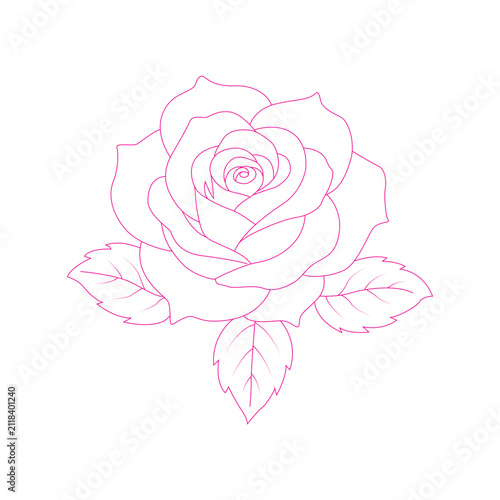 Pink Line Art Rose With Leaves On White Background Delicate Floral Illustration flower blossom bloom