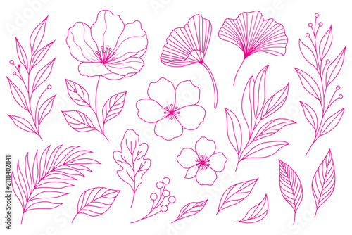 Pink line art floral ornament collection on a white background featuring various botanical shapes flower