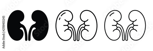 Kidneys Icon Silhouette Vector, Bold Outline and Line Art Design for Healthcare, Medical Anatomy, Urology, Hospital, and Wellness Applications