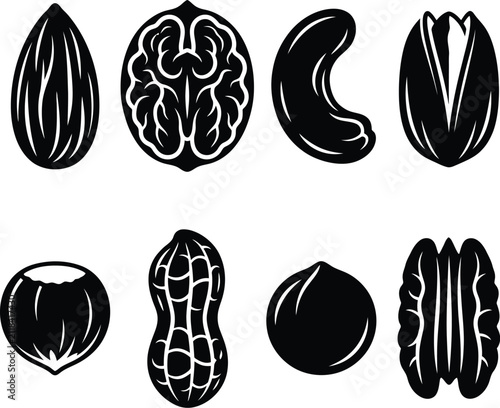 Nuts Seeds Organic Vector Silhouette