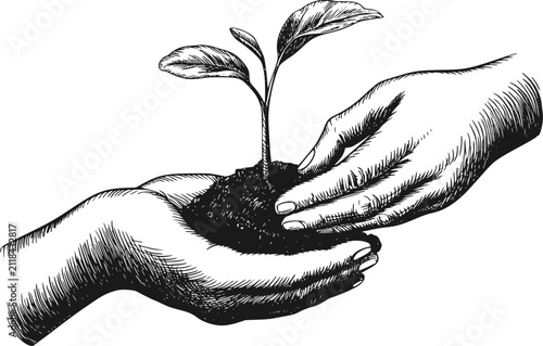 Black and white of two hands holding a small green plant sprout growing out of a mound of dark soil
