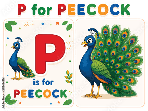 Educational alphabet flashcard for letter P, cartoon peacock bird illustration for children, preschool learning poster with P is for Peecock text