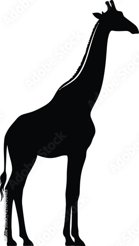 Giraffe Silhouette Vector Illustration
African Safari Animal Logo