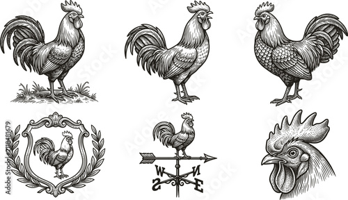 Картината върху платно Vintage Engraved Rooster Illustration Collection with Hand Drawn Chicken Sketche