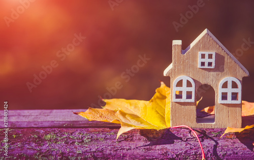 Bild auf Leinwand The symbol of the house stands among the fallen autumn leaves