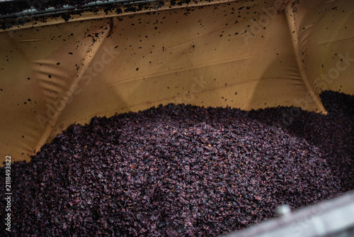Canvas Print Pinot Noir pomace inside pneumatic wine press