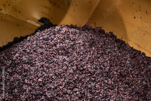 фотографія Pressed Pinot Noir pomace inside wine press