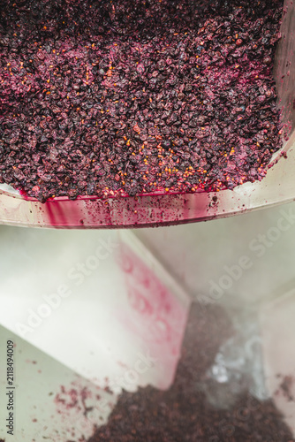 Картината върху платно Pinot Noir pomace discharged from wine press