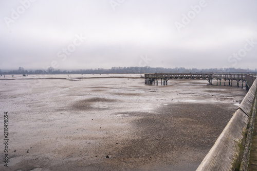 Foggy Day at Nisqually National Wildlife Refuge