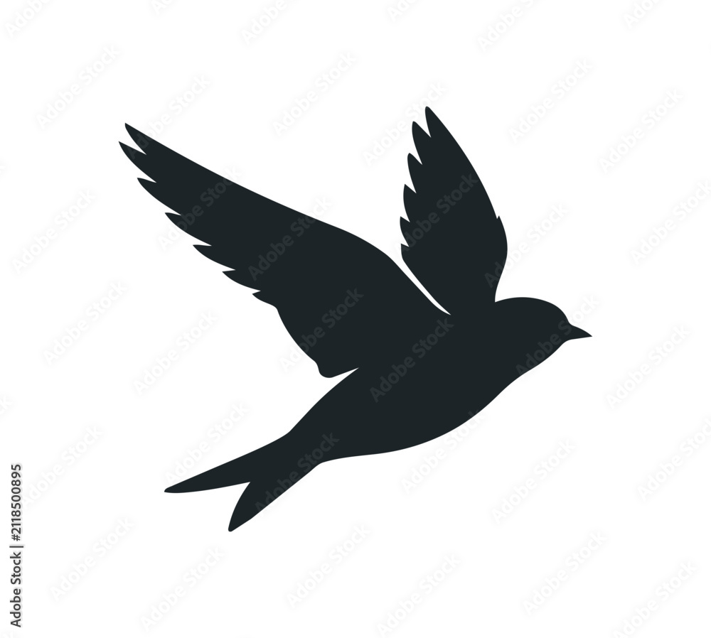 Fototapeta premium Silhouette of a bird in flight against a white background.