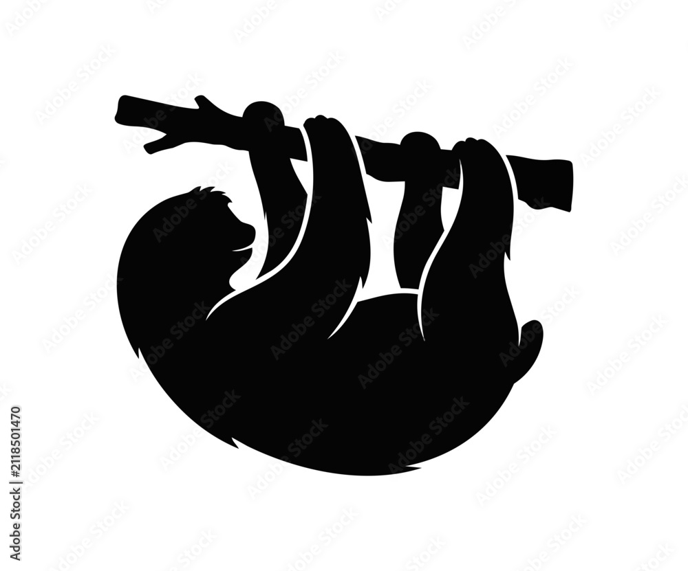 Obraz premium Silhouette of a sloth hanging from a tree branch.
