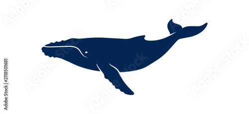 Fotografie Silhouette of a Humpback Whale Swimming Gracefully.