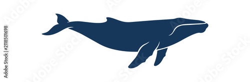 Foto Silhouette of a majestic blue whale swimming in the ocean.