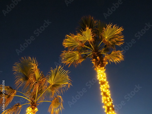 Two illuminated palm trees against deep blue night sky in a tropical resort