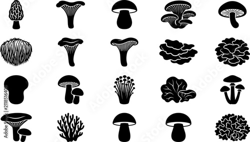Cuadro en lienzo Edible Wild Mushroom Types Black Glyph Icons Set for Foraging and Cooking