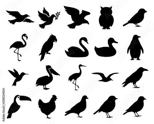 Photography set of birds silhouettes
