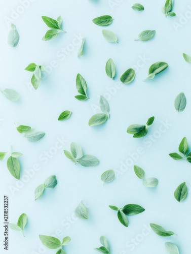 Seamless botanical pattern with green leaves on a natural background. Fresh decorative design ideal for packaging, branding, textiles and lifestyle projects.