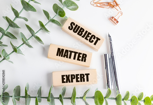 Photography Subject matter expert concept with wooden blocks, silver pen and green plant on