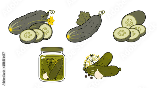Konstfotografi Hand drawn cucumber set with fresh slices and pickled jar