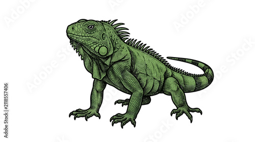 Konstfotografi Green iguana lizard stipple engraving on white.
