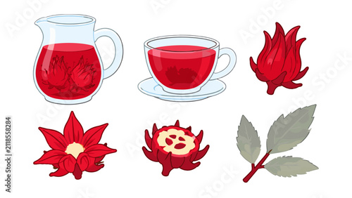 Obraz na plátně Red herbal tea set with glass pitcher, cup, flower and leaves